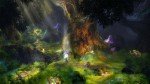 Trine.v 1.07 + DLC Path to New Dawn Trine.v 1.07 + DLC Path to New Dawn