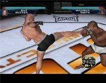 UFC: Throwdown Gamecube (PC Version!)